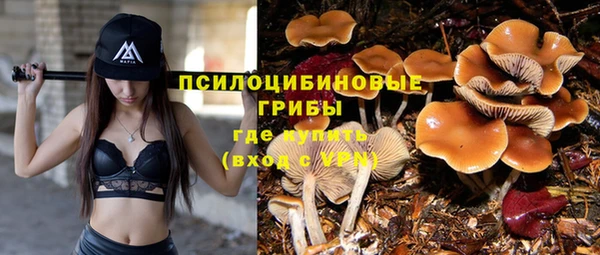 ешки Бронницы
