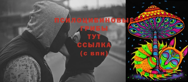 ешки Бронницы