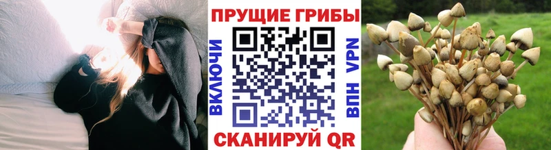 Галлюциногенные грибы мицелий  Карталы 